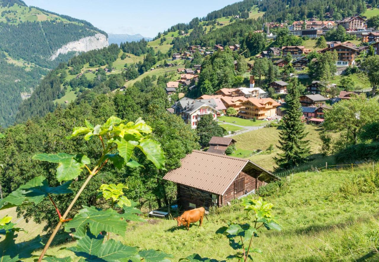 Panoramapark Soleil Chalet C Wengen Eksteriør billede